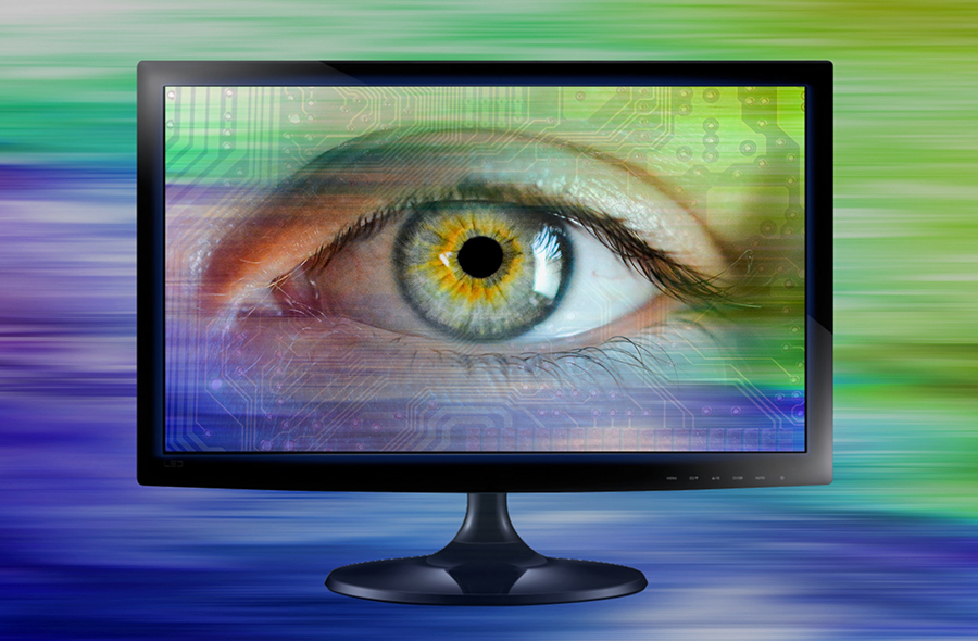 Fraude oog 900x590