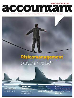 Accountant nr. 12 2013